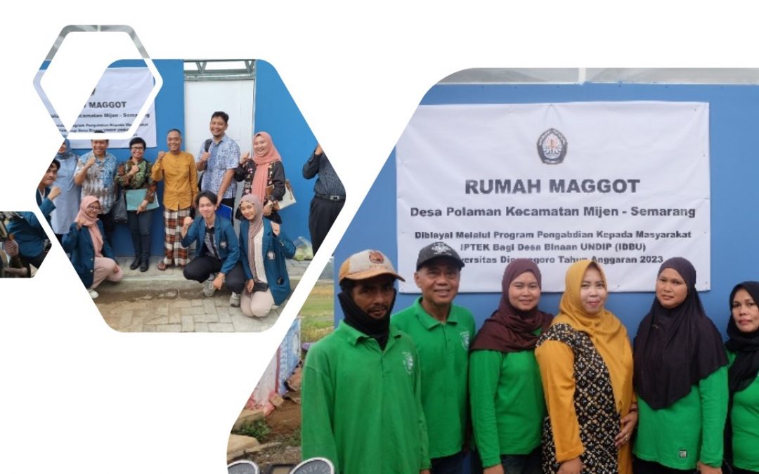 Pengolahan Sampah Organik Melalui Biokonversi Maggot: Solusi Inovatif untuk Green Circular Economy